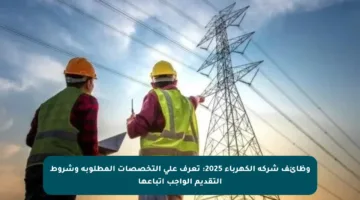 وظائف شركة الكهرباء 2025: تعرف على التخصصات المطلوبة وشروط التقديم الواجب اتباعها